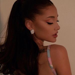 Meet your Posher, ☁️ariana